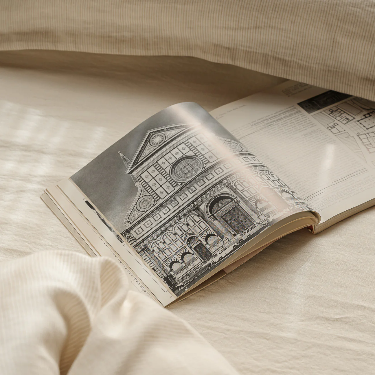Immagine prodotto 7